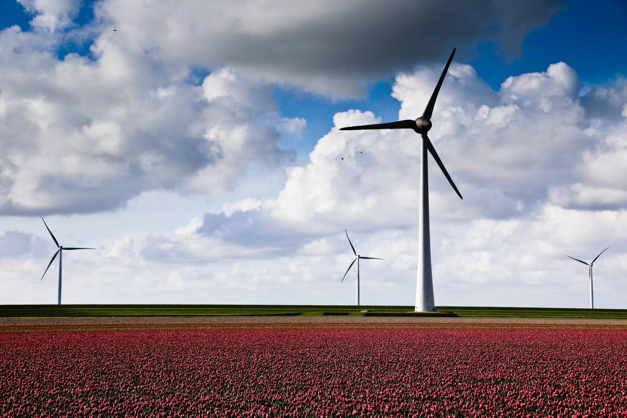 Renewable Energy 101: The Power Of Wind - Earth Equity Advisors